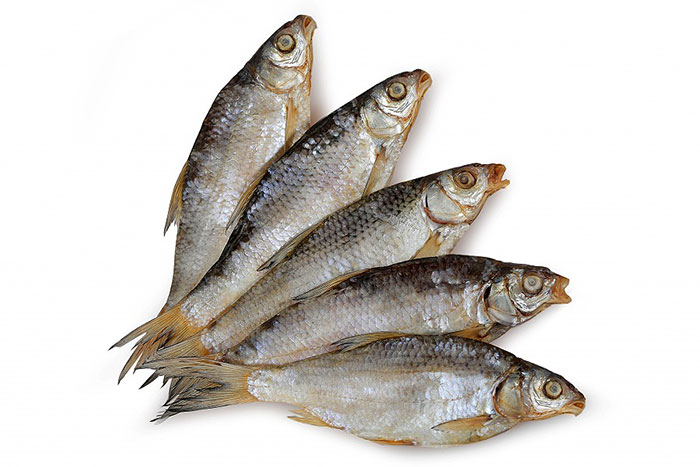 Таранька Рыба Фото