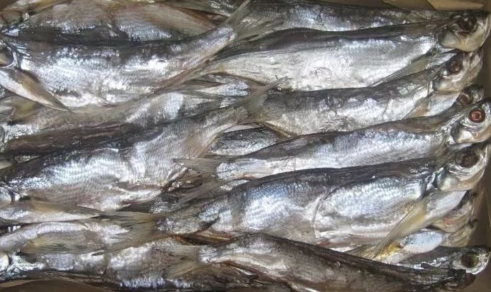 Чехонь вяленая, 10 кг