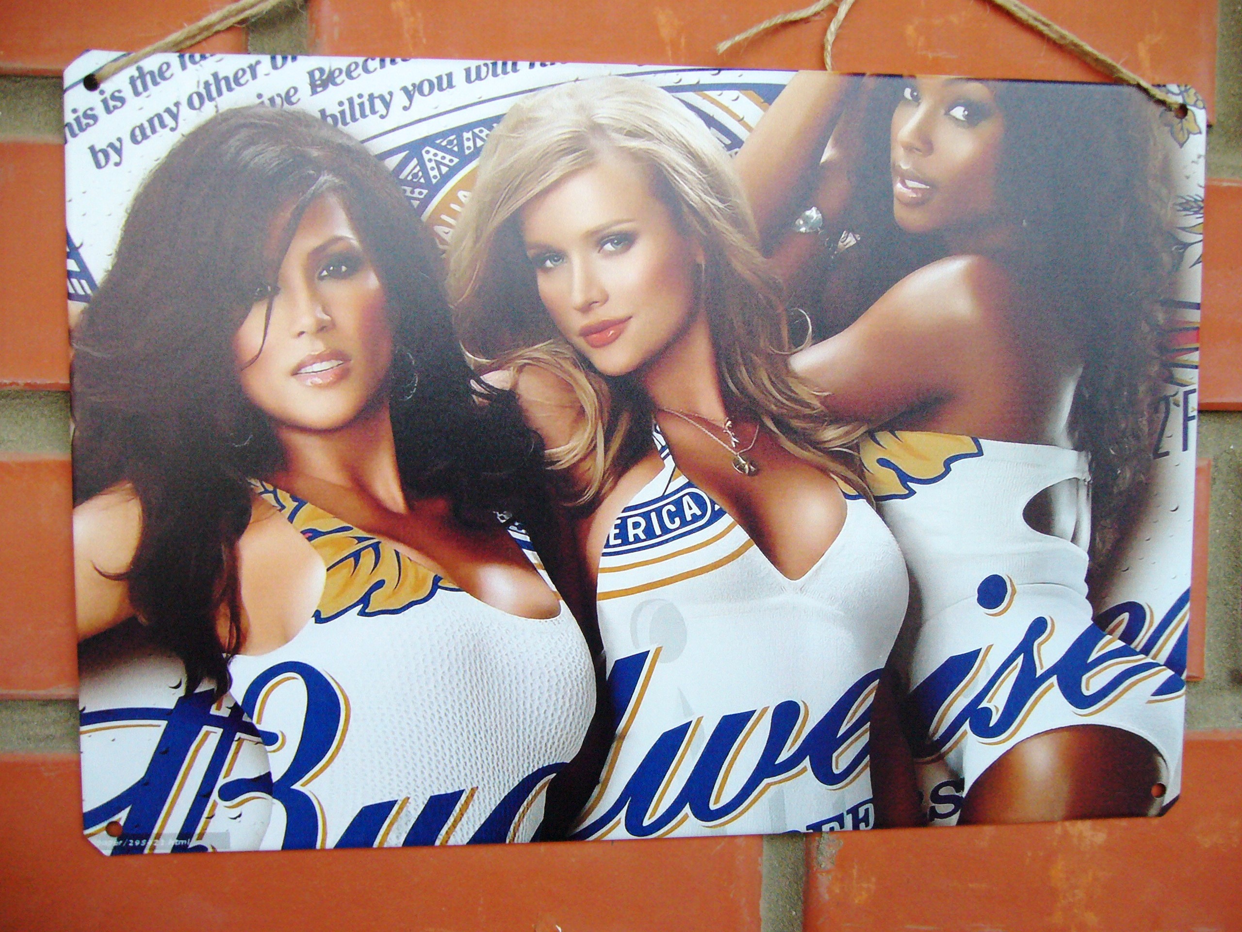 Металлическая табличка 20х30 см