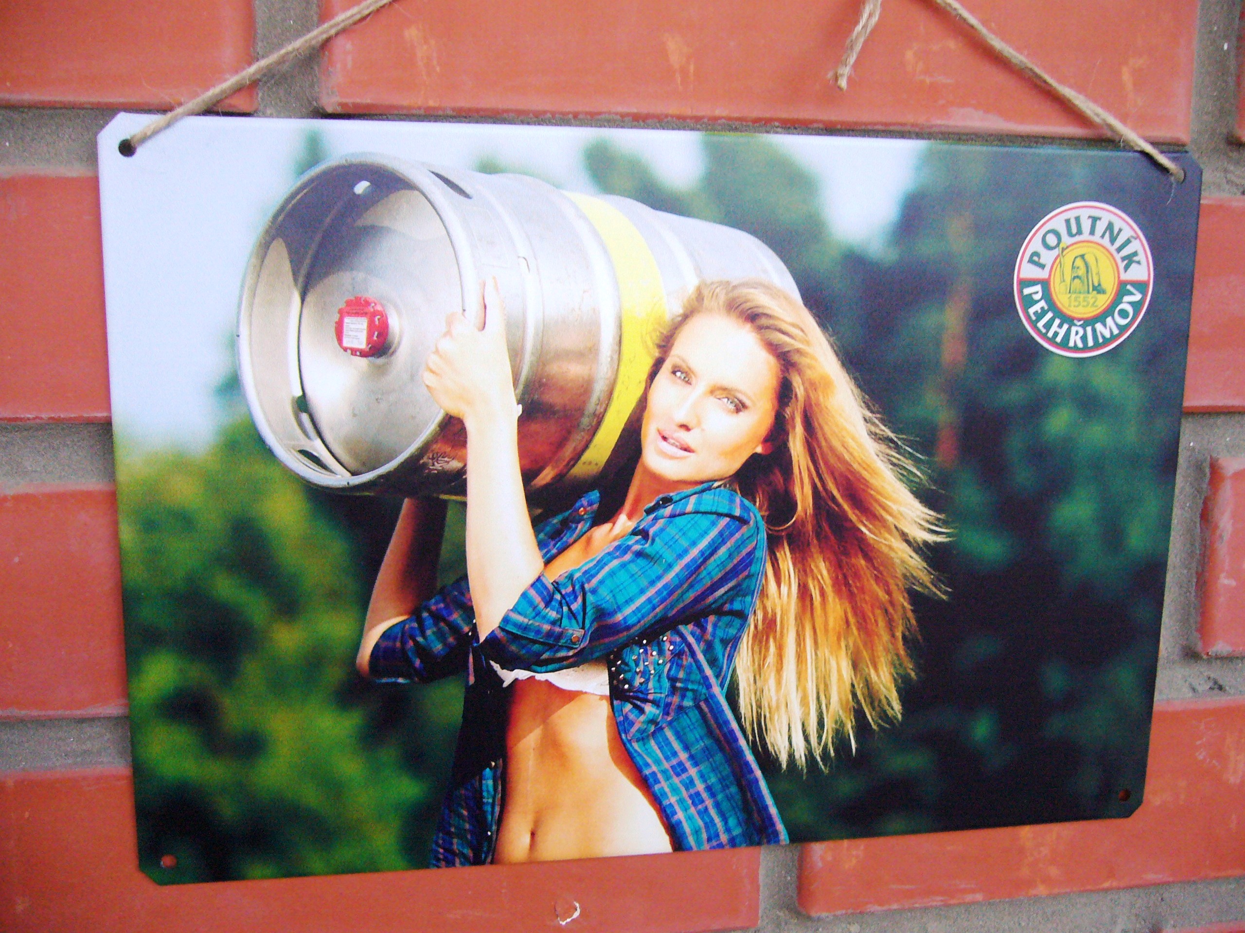 Металлическая табличка 20х30 см