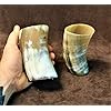 Кружка из рога викингов – кружка ручной работы из бычьего рога для пива, медовухи, эля и вина | Аутентичный средневековый скандинавский сосуд объемом 8-10 унций (6 дюймов, упаковка из 2 штук)