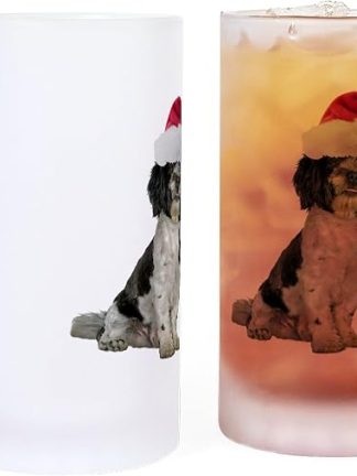 CafePress Havanese Santa Christmas Frosted Stein 16 oz Frosted Glass Beer Mug