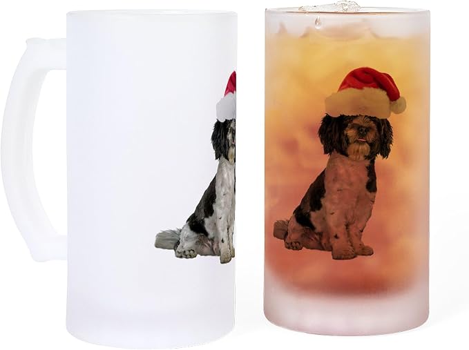 CafePress Havanese Santa Christmas Frosted Stein 16 oz Frosted Glass Beer Mug
