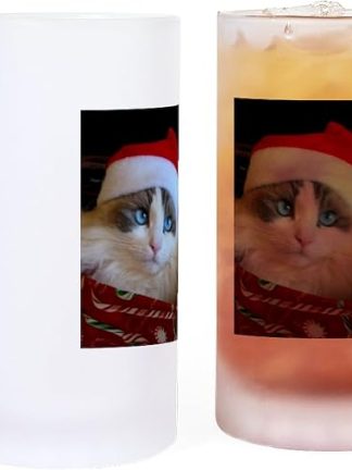 CafePress IMG5806Adj3 Матовая кружка для пива объемом 16 унций