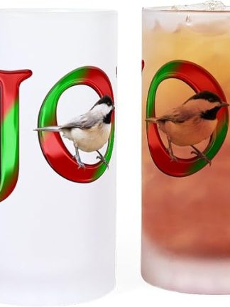 Кружка для пива CafePress Christmas Joy Chickadee Frosted Stein объемом 16 унций (473 мл) из матового стекла.
