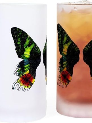 Кружка для пива CafePress Madagascan Sunset Moth Frosted Stein объемом 16 унций (473 мл) из матового стекла.